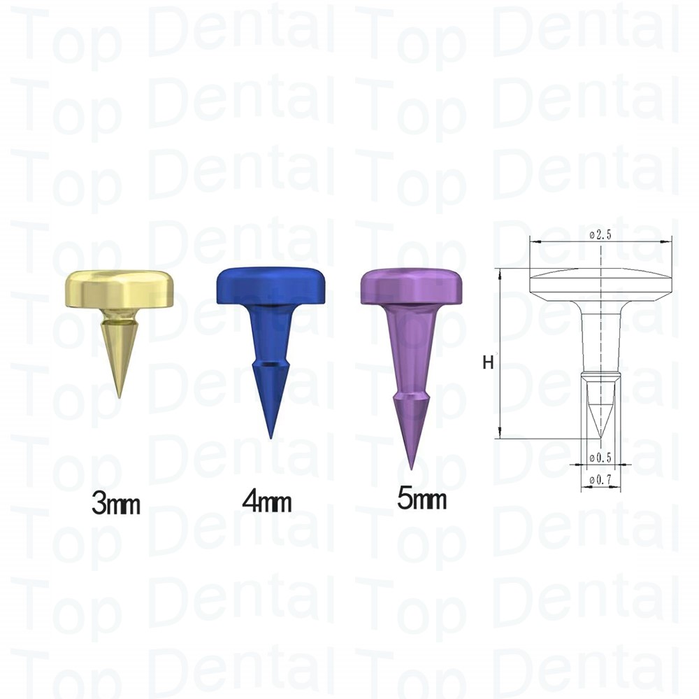 10pcs Dental GBR System Bone S - Stabilizer Screw In ulasan dan harga